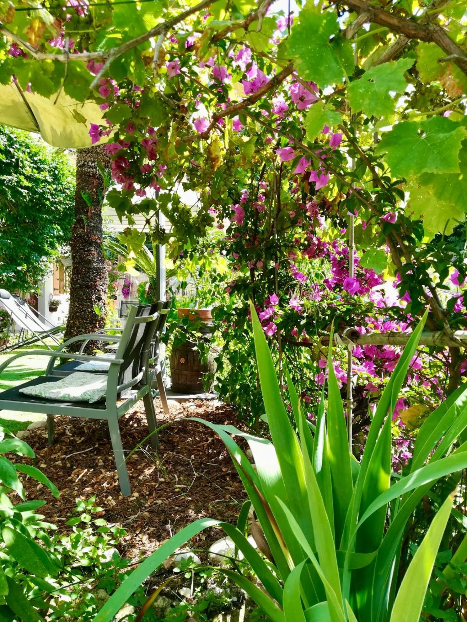 Villa Bellabe Nice Exteriér fotografie